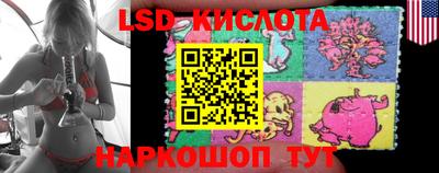 гидра Моздок