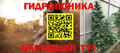 эйфоретик Нальчик