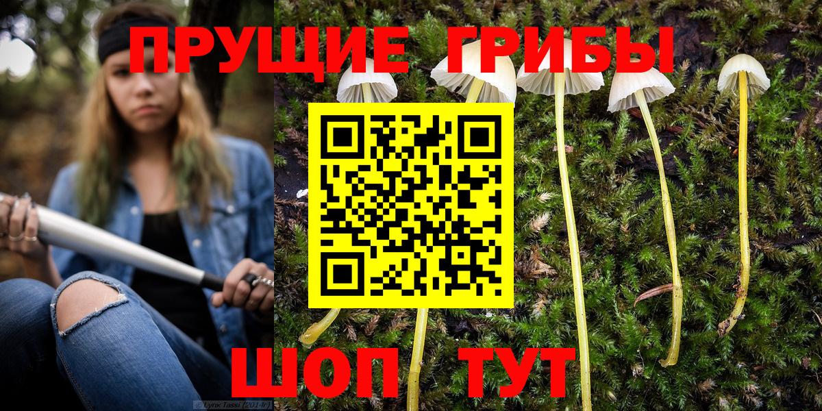 Раменское  Псилоцибиновые грибы мухоморы  Вход с VPN 