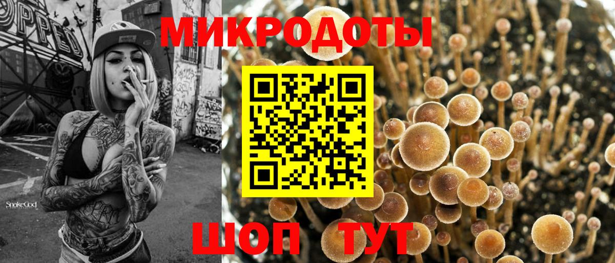 Псилоцибиновые грибы мухоморы Раменское