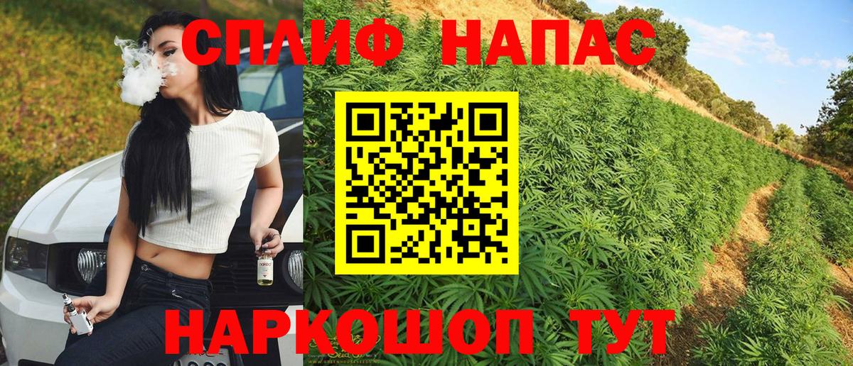 Конопля Amnesia Раменское